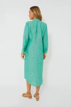 Sea Green Linen Lydell Maxi Dress 8 Sea Green Linen Lydell Maxi Dress -ULLA JOHNSON SHOP InNXepAs35uAUtXI1CFqc48AIqPi1aGW 1