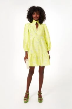 Citron Fil Coupe Palmerston Dress