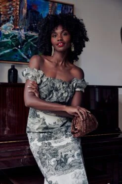 Middleburg Toile Suze Dress -ULLA JOHNSON SHOP LLdlFElGG1K5jlUQHcHAsjGEf9GDmq0f 1