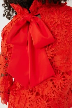 Red Guipure Lace Faye Blouse -ULLA JOHNSON SHOP MLmbzPcLLbRGaidpIJBzLt4UV16Lznuf 1