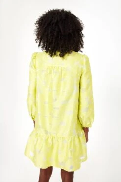 Citron Fil Coupe Palmerston Dress -ULLA JOHNSON SHOP PYjS2uVOFlEghSHkKJrJVAxygU4VmdKv 1