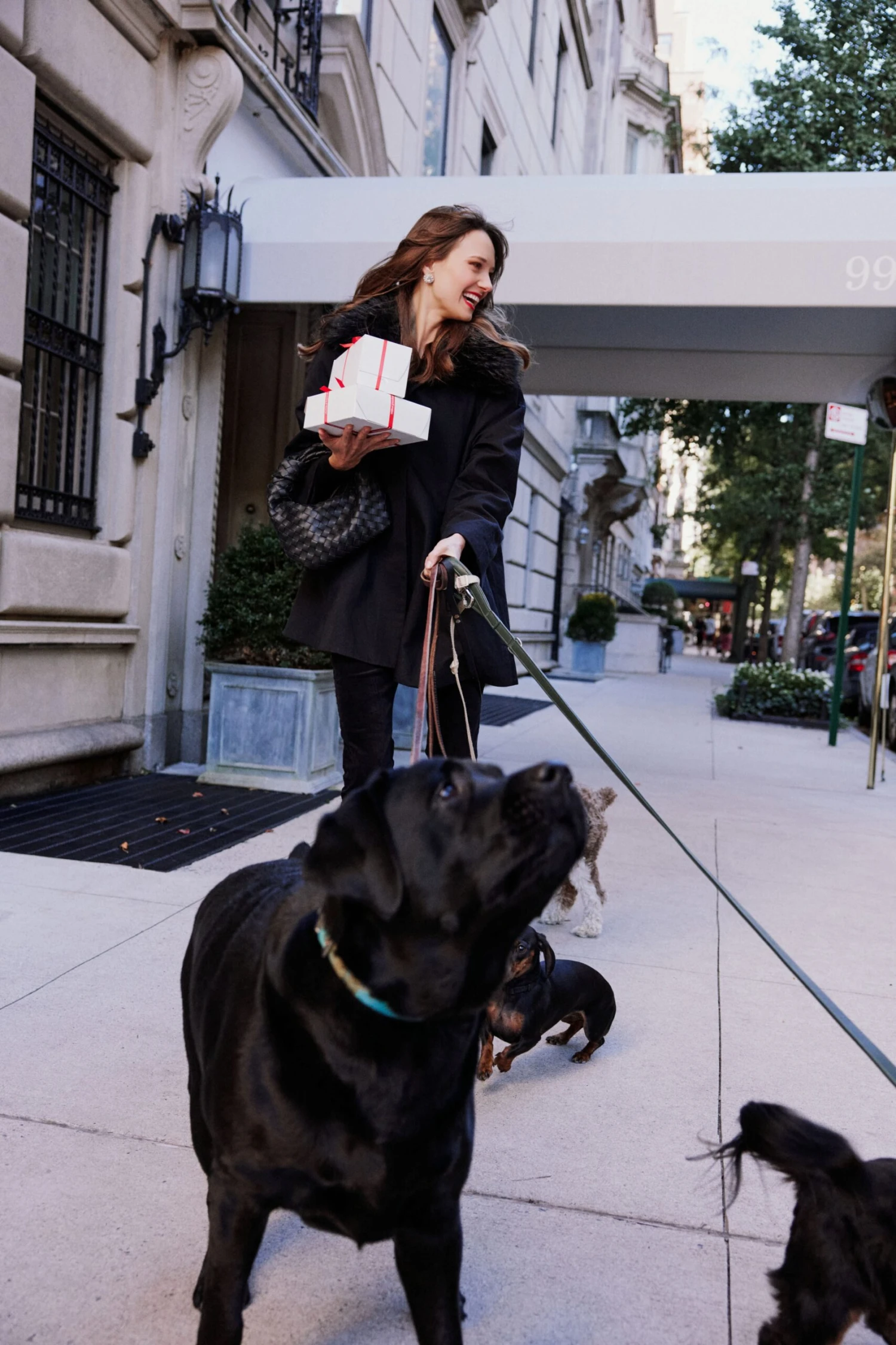 Fur Collar Cecile Swing Cape 7 Fur Collar Cecile Swing Cape - Image 7